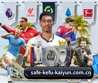 safe-kefu-kaiyun.com.cn APP